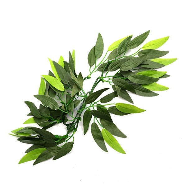 Plantes de terrarium REPTIZOO – Heternanthera Zosterifolia 20" #TP001