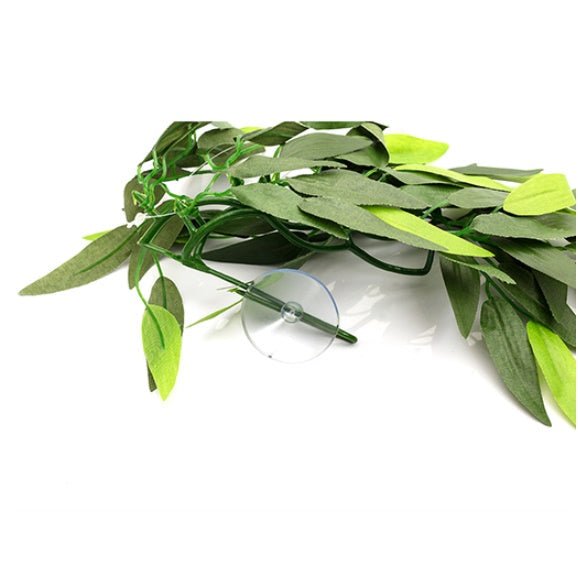 Plantes de terrarium REPTIZOO – Heternanthera Zosterifolia 20" #TP001