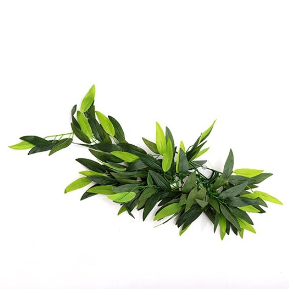 Plantes de terrarium REPTIZOO – Heternanthera Zosterifolia 20" #TP001