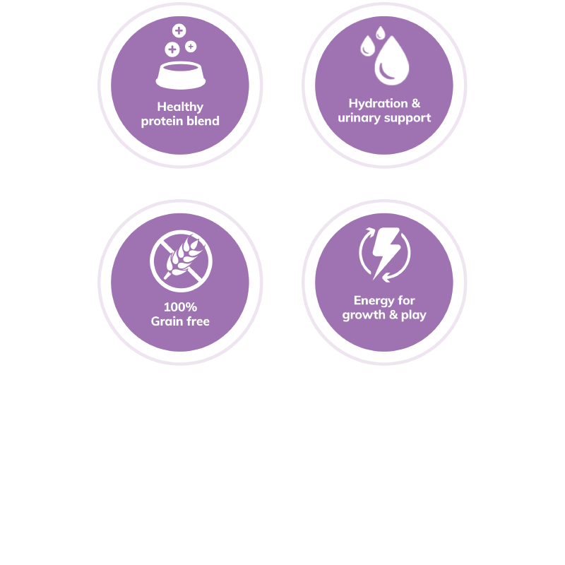 Wellness Complete Health Pâté Chicken & Lobster Cat Wet Food - Www.Shopthatapp.com