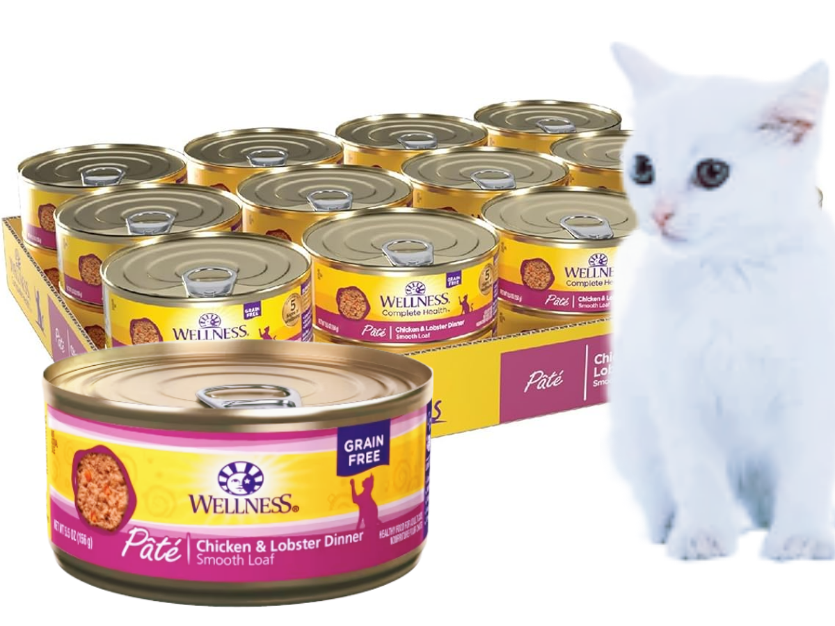 Wellness Complete Health Pâté Chicken & Lobster Cat Wet Food - Www.Shopthatapp.com