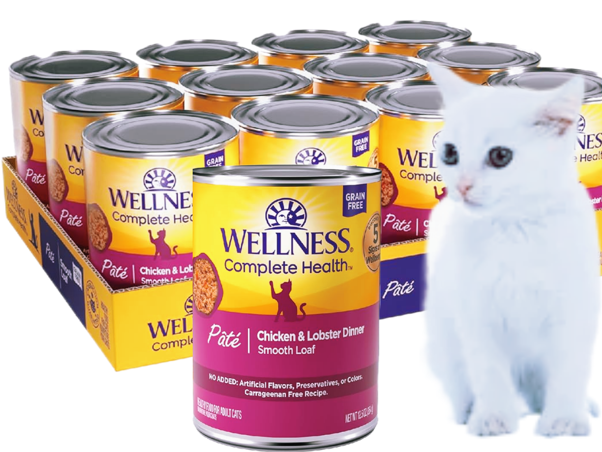 Wellness Complete Health Pâté Chicken & Lobster Cat Wet Food - Www.Shopthatapp.com