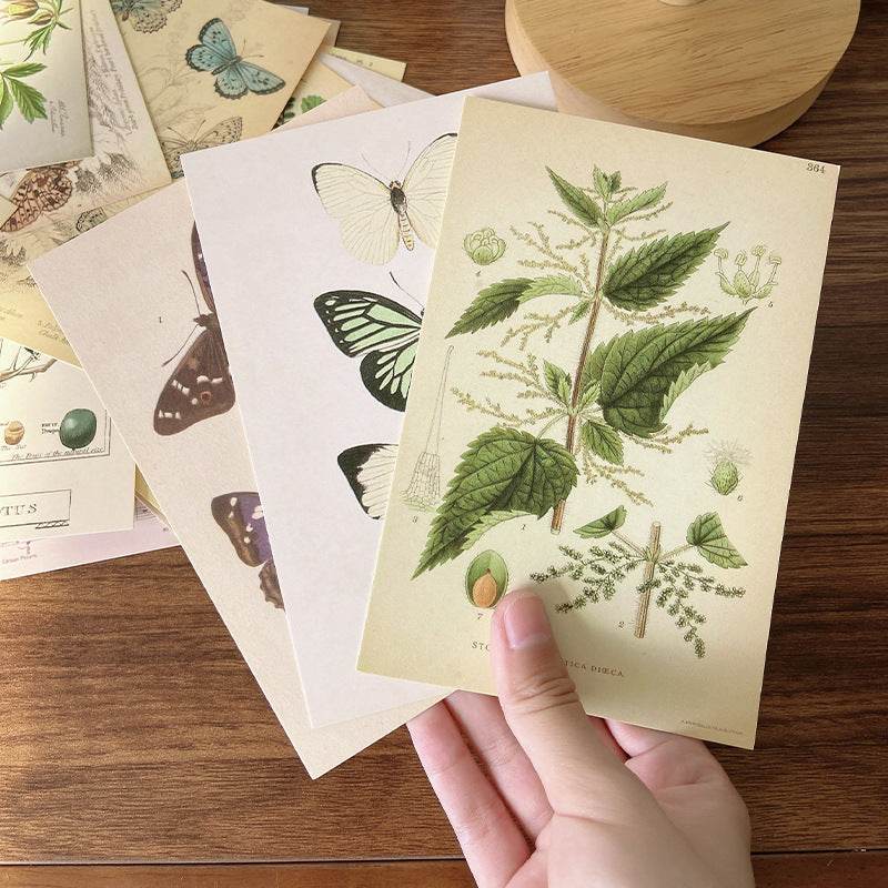 Forest Plant Series Decorative Card Wall Bedroom Postcard Wall Sticker Decoration Decorative Card - www.Shopthatapp.com