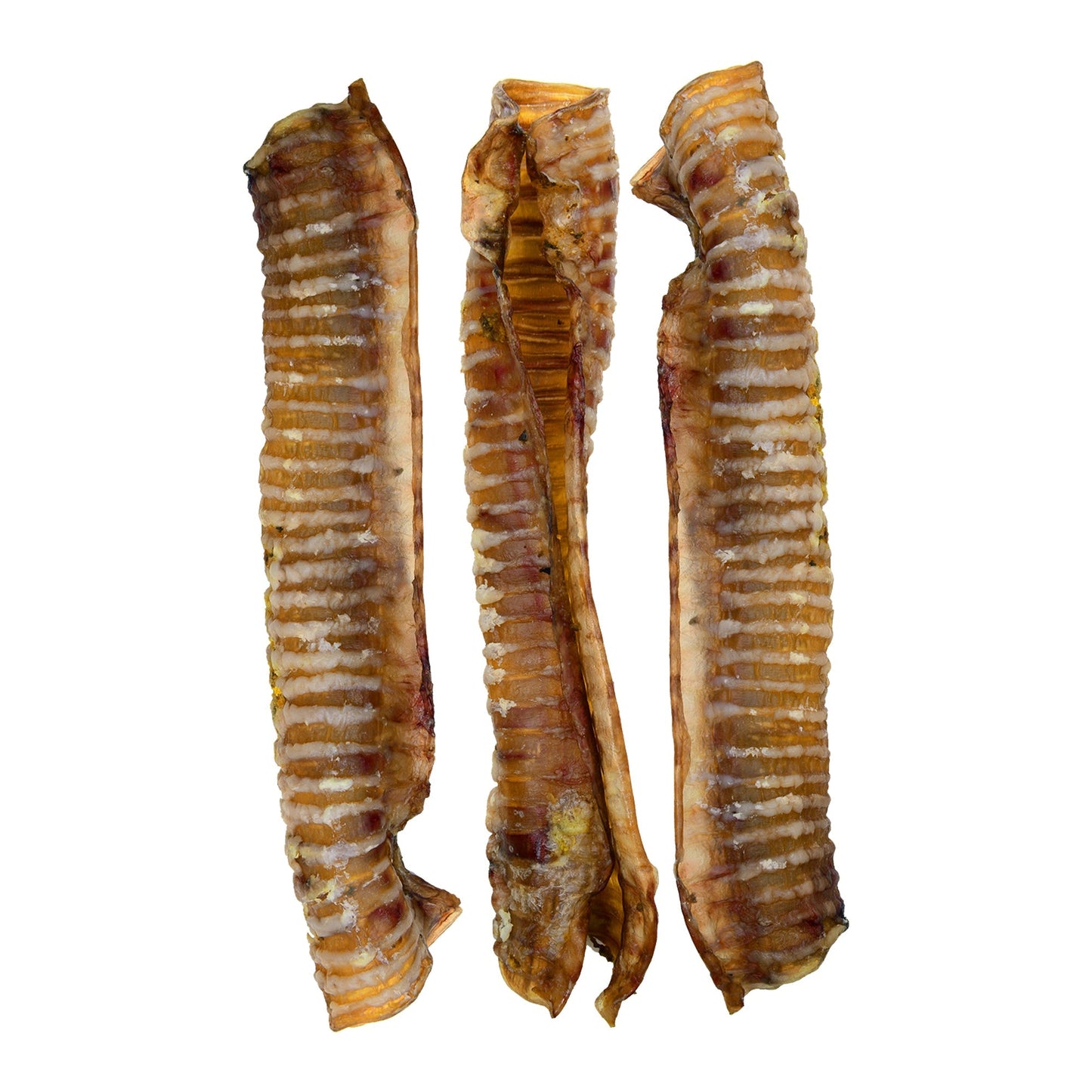 Trachée de bœuf