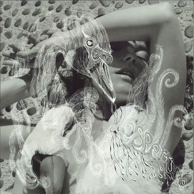Bjork / Vespertine - CD (Used) - www.Shopthatapp.com
