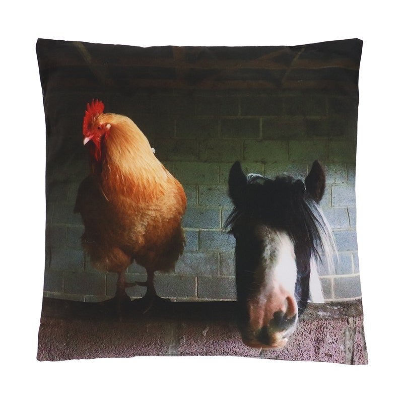 Coussin d'extérieur Farm S