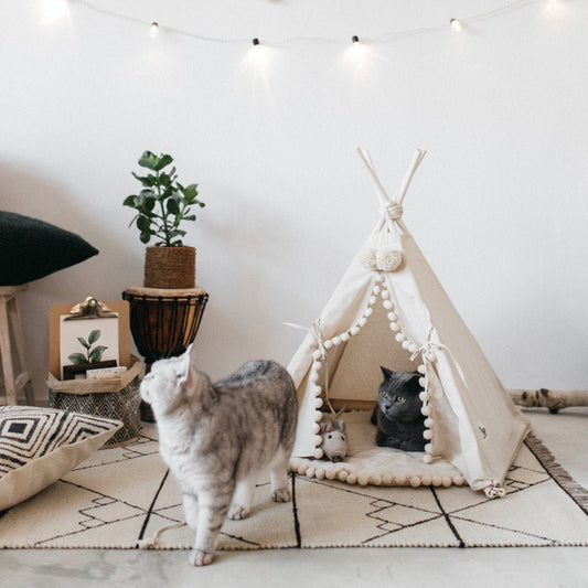 Cozy Cat & Dog Tent Bed - www.Shopthatapp.com