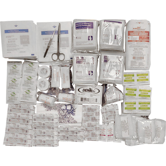 CSA Z1220 - 17 TYPE 2 LARGE FIRST AID KIT(51-100 Workers), Plastic Box - www.Shopthatapp.com