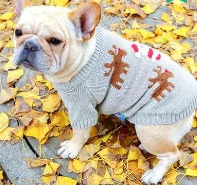 Christmas pet dog sweater - www.Shopthatapp.com