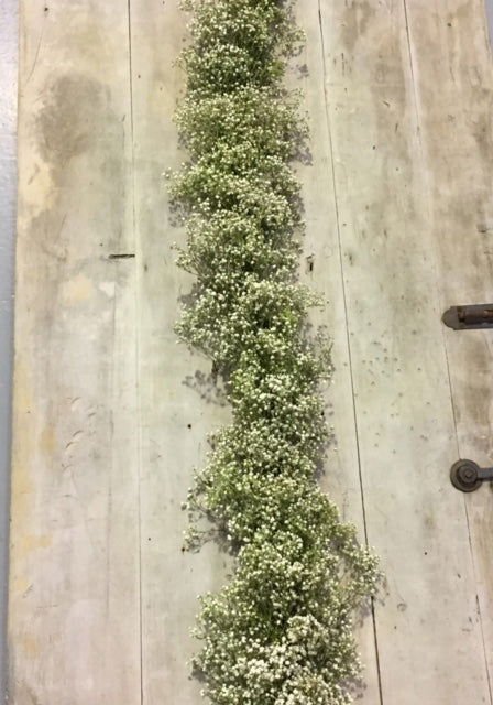 Fresh Garland Table Runner  - Eucalyptus, Baby' Breath, Ruscus - www.Shopthatapp.com