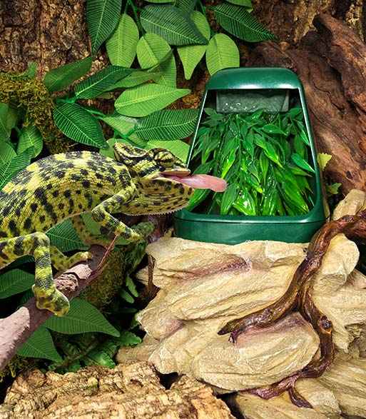REPTIZOO Reptile Drinking Fountain and Humidifier (Base Only)#DF01-1