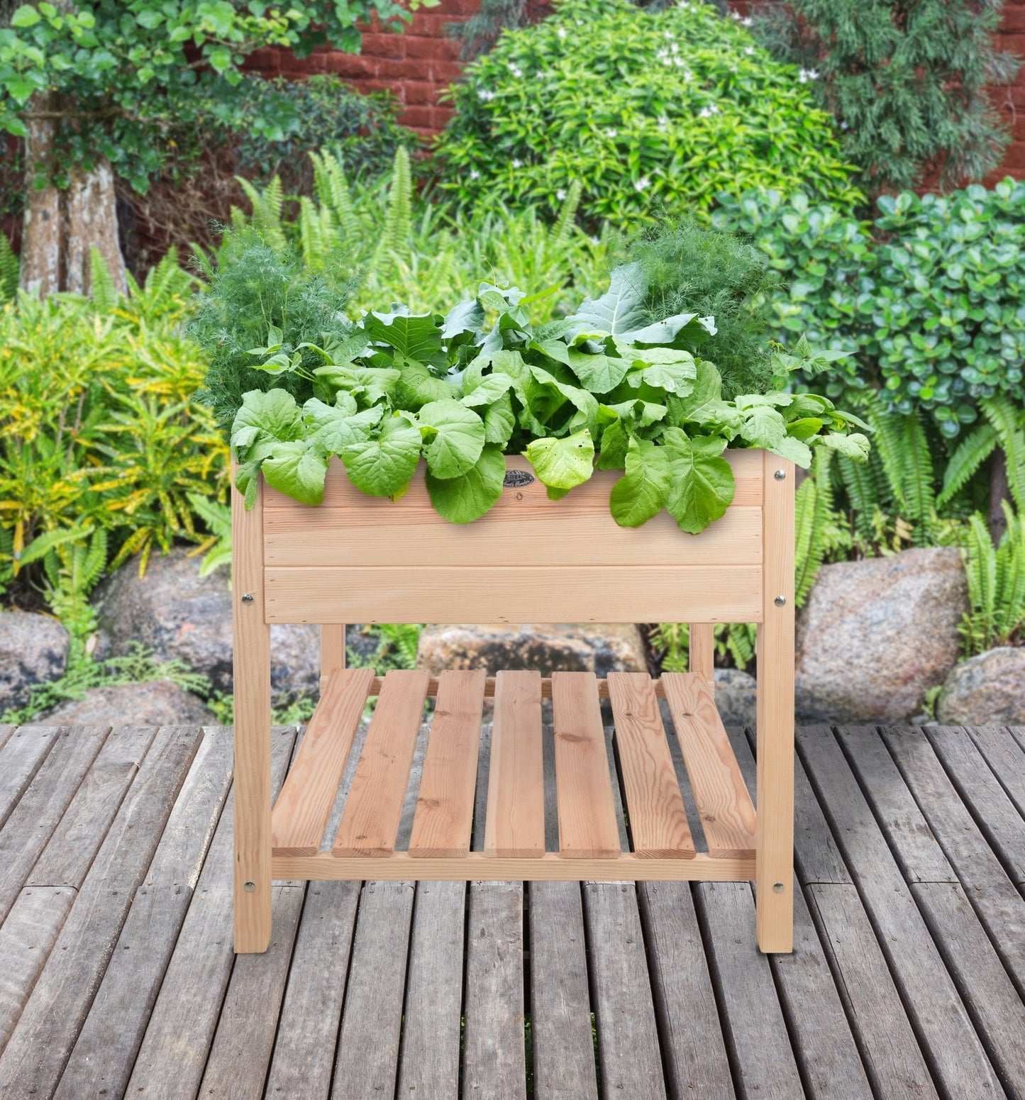 Blank Raised Bed XL - www.Shopthatapp.com