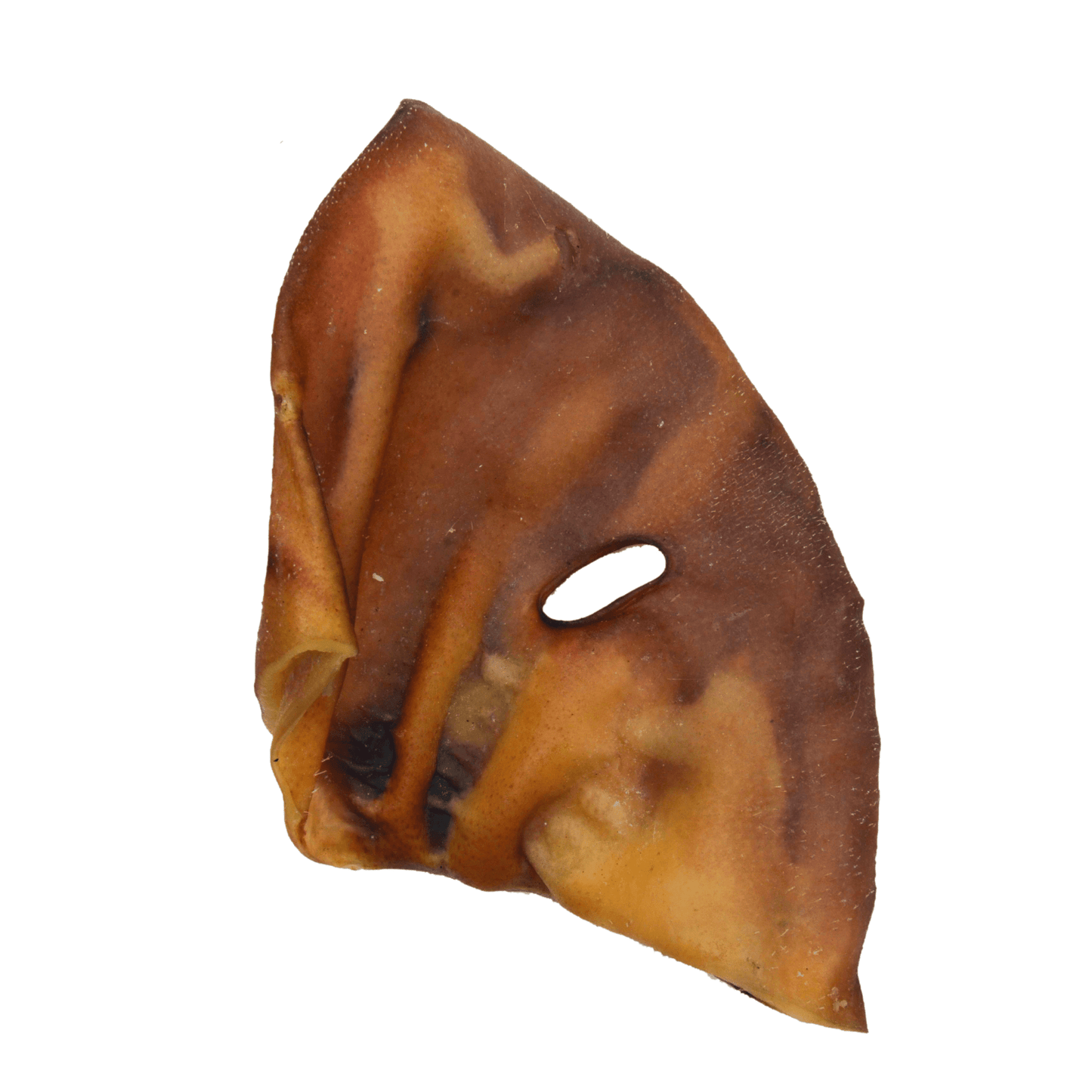 Oreille de cochon - Grande