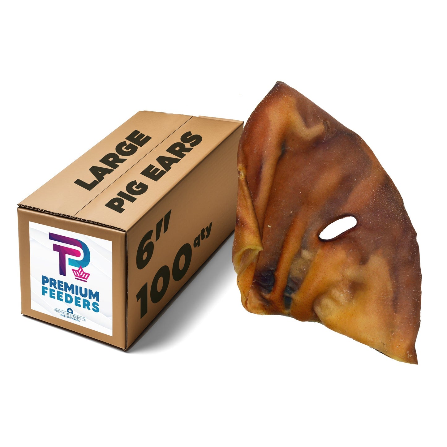 Oreille de cochon - Grande