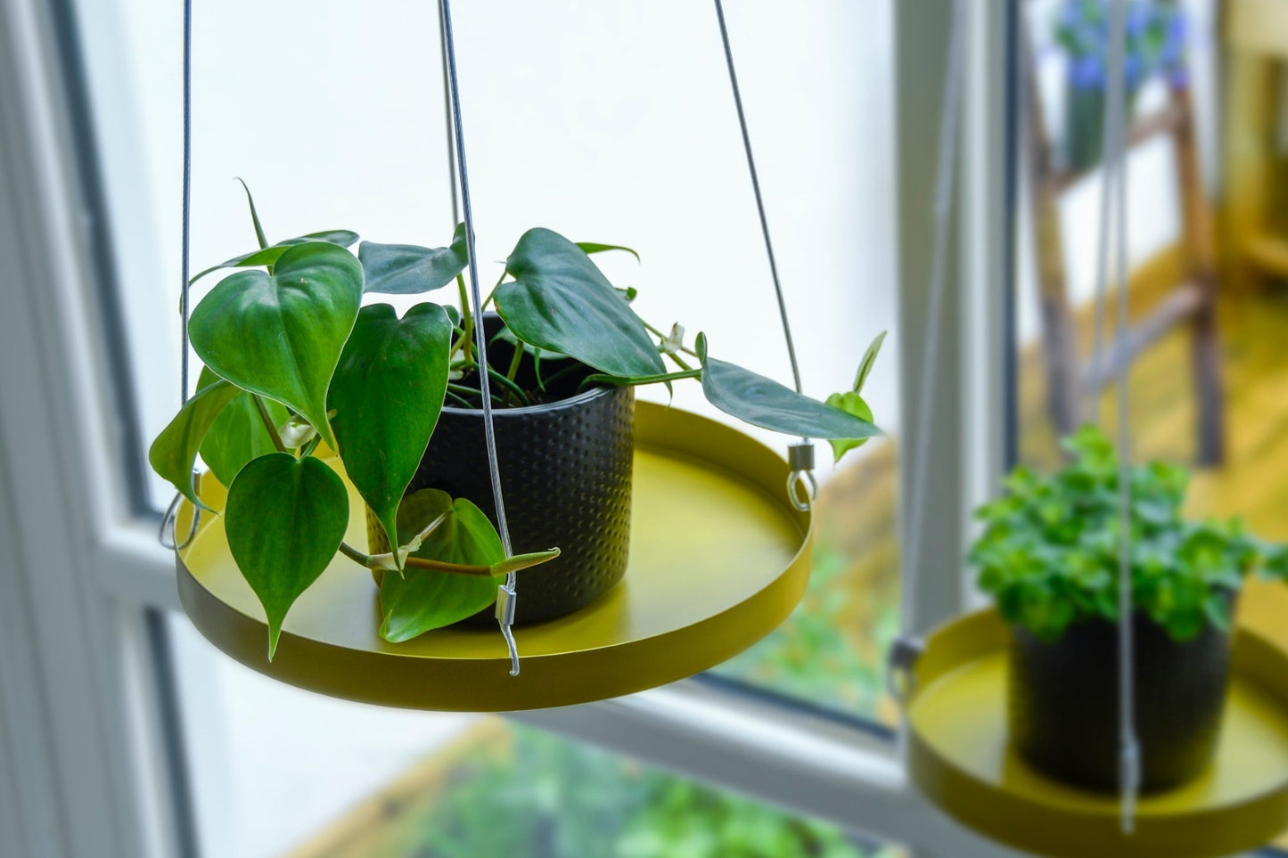 Round Golden Window Hanging Tray L - www.Shopthatapp.com