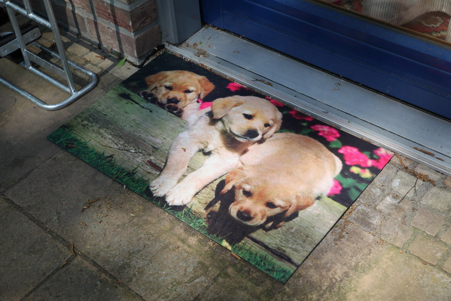 Chiots paillassons