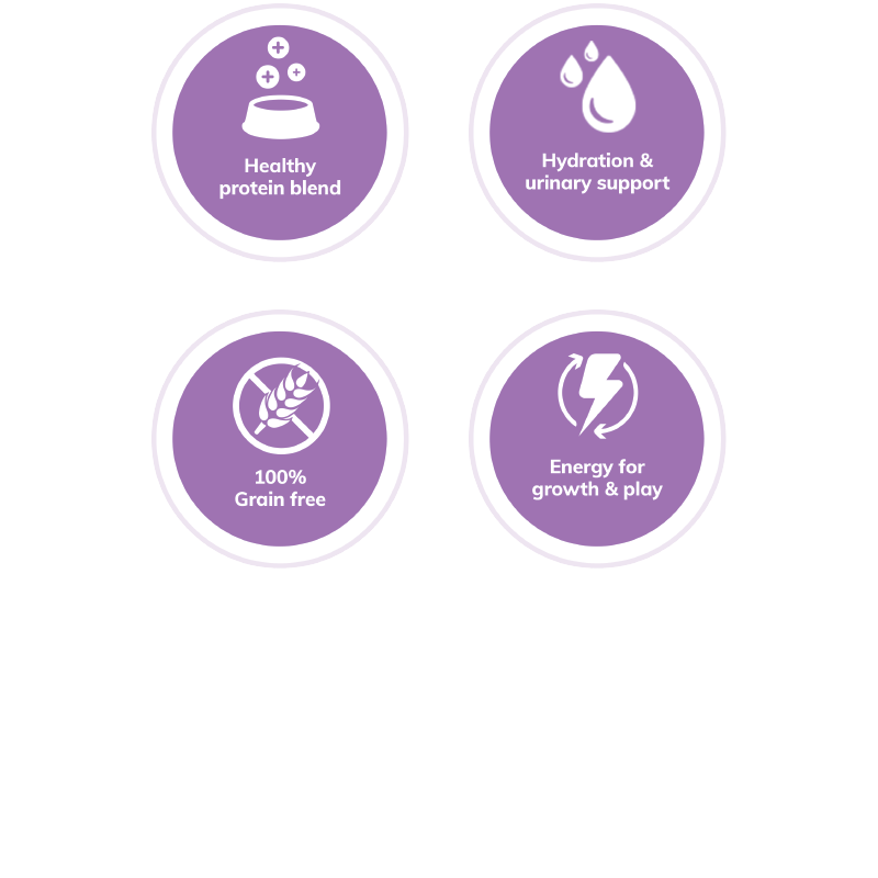 Wellness Complete Health™ Pâté Chicken & Herring Cat Wet Food - EXPIRES Sept 10 2024 - www.Shopthatapp.com