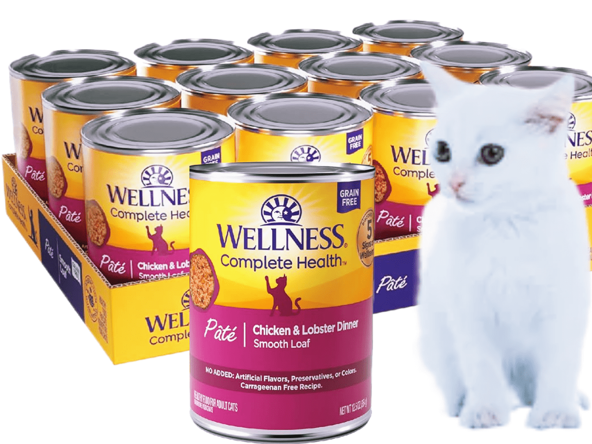 Wellness Complete Health Pâté Chicken & Lobster Cat Wet Food - www.Shopthatapp.com