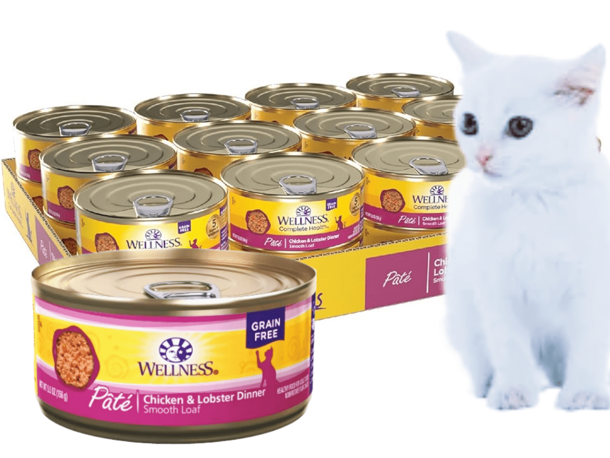 Wellness Complete Health Pâté Chicken & Lobster Cat Wet Food - www.Shopthatapp.com