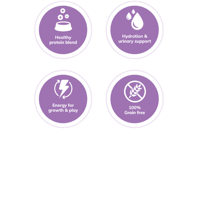 Wellness Healthy Indulgence® Gravies Tuna & Mackerel - Cat Wet Food (3 oz) - EXPIRES Aug 19 2024 - www.Shopthatapp.com