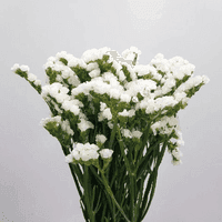 Canadian home and garden decor featuring a beautiful arrangement of white flowers