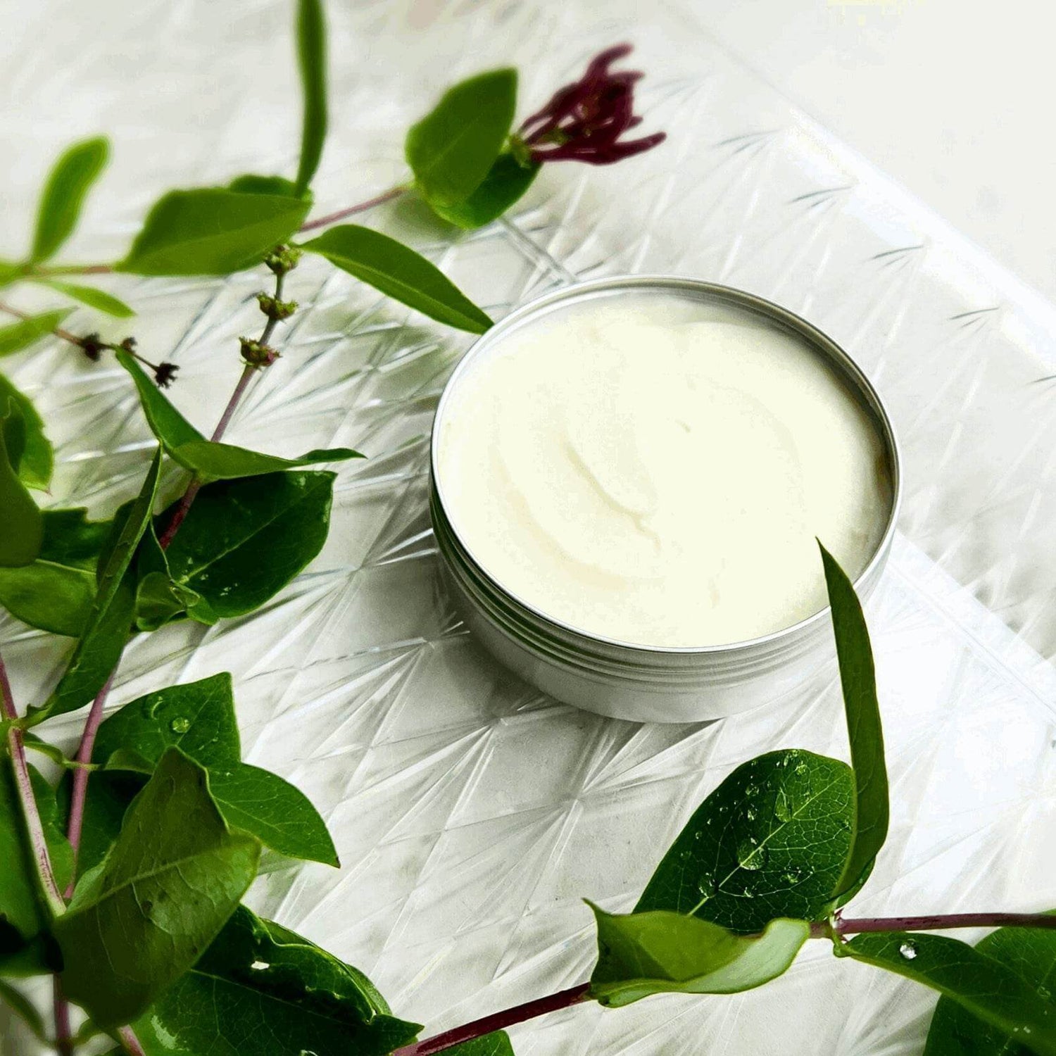 Canadian Bath and Body Care: Premium Products & Brands