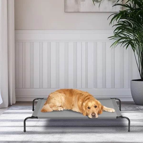 50D X 31W X 8H Dog Bed - www.Shopthatapp.com