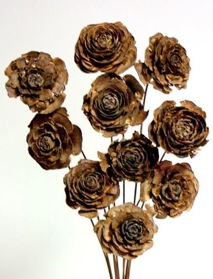 Cèdre Rose