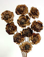 Cedar Rose - www.Shopthatapp.com