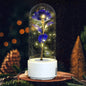 Creative 2 In 1 Rose Flowers LED Light And Bluetooth-compatible Speaker Valentine's Day Gift Rose Luminous Night Light Ornament In Glass Cover - www.Shopthatapp.com