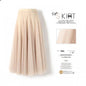 Pleated Mesh Midi Skirt – Women's Prairie Swing Skirt - www.Shopthatapp.com
