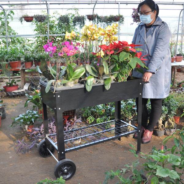 Rolling Mobile Raised Garden Bed Cart Planter Garden Bed Cart - www.Shopthatapp.com