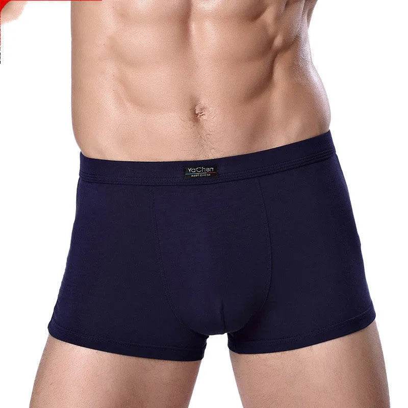 Men's Underwear Boxer Briefs Panties Bamboo Fiber Modal - www.Shopthatapp.com