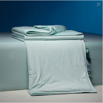 Four Seasons Winter Quilt Duvet Insert Double Layer - www.Shopthatapp.com