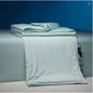 Four Seasons Winter Quilt Duvet Insert Double Layer - www.Shopthatapp.com