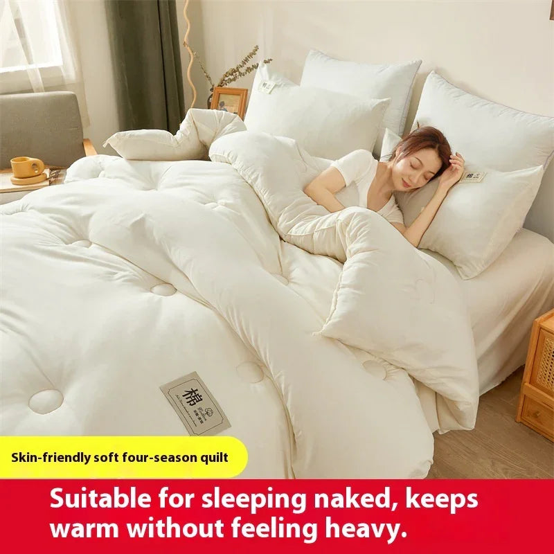 Airable Cover Double Thickened Cotton Duvet Insert - www.Shopthatapp.com