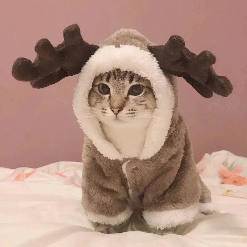 Cat And Dog Clothes Autumn And Winter Christmas - www.Shopthatapp.com
