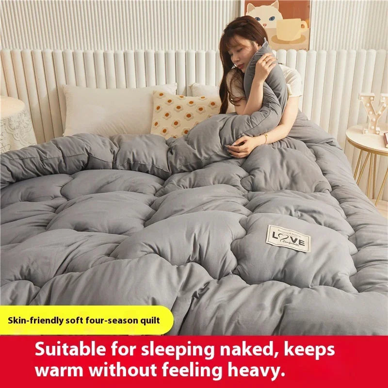 Airable Cover Double Thickened Cotton Duvet Insert - www.Shopthatapp.com