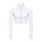 Autumn And Winter New Elastic Slim-fit High neck Zip Up Yoga crop top - www.Shopthatapp.com