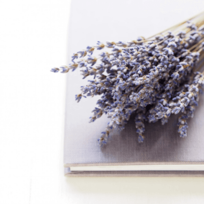 Dried Purple Lavender Bouquet - www.Shopthatapp.com