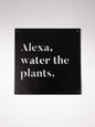 12" x 12" Alexa, arrosez les plantes