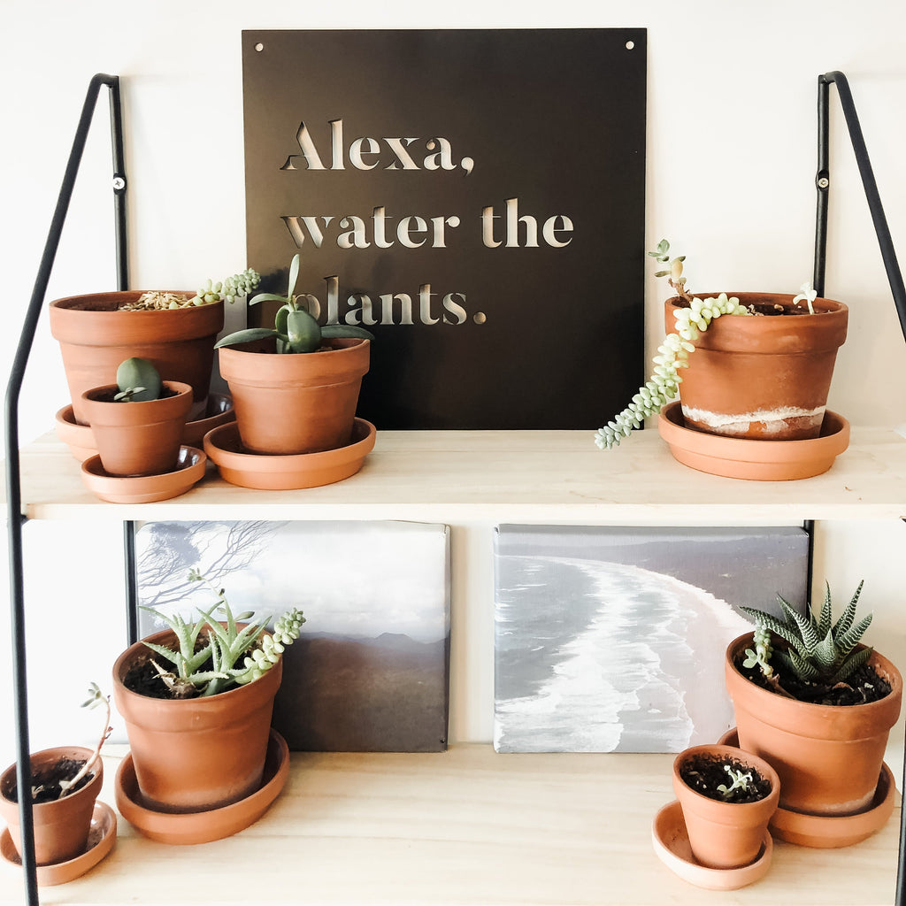 12" x 12" Alexa, Water the Plants - www.Shopthatapp.com
