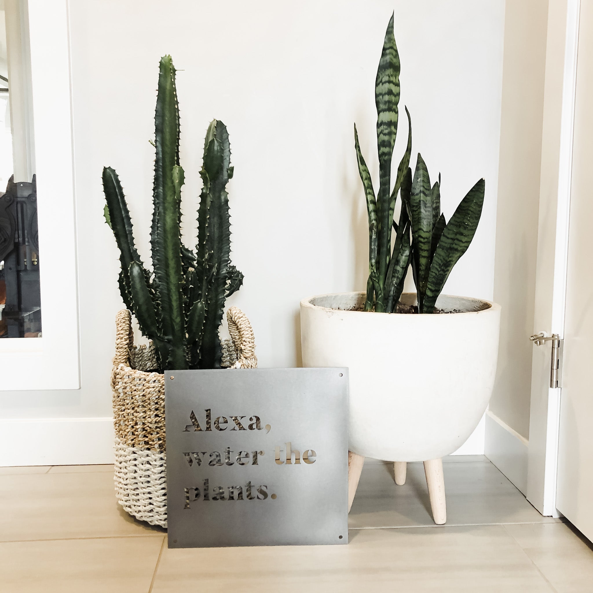 12" x 12" Alexa, Water the Plants - www.Shopthatapp.com