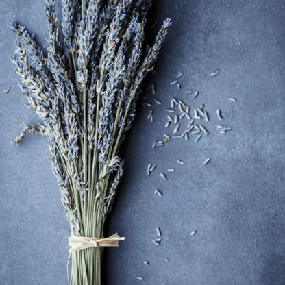 Dried Purple Lavender Bouquet - www.Shopthatapp.com