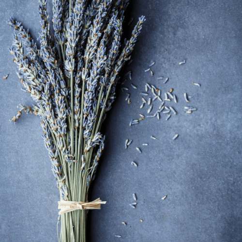 Dried Purple Lavender Bouquet - www.Shopthatapp.com
