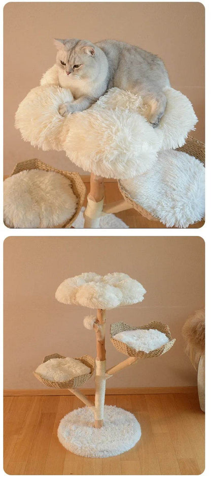 Natural Fruit Tree Cat Climbing Frame Solid Wood Rattan Cat Nest Cat Tree - www.Shopthatapp.com