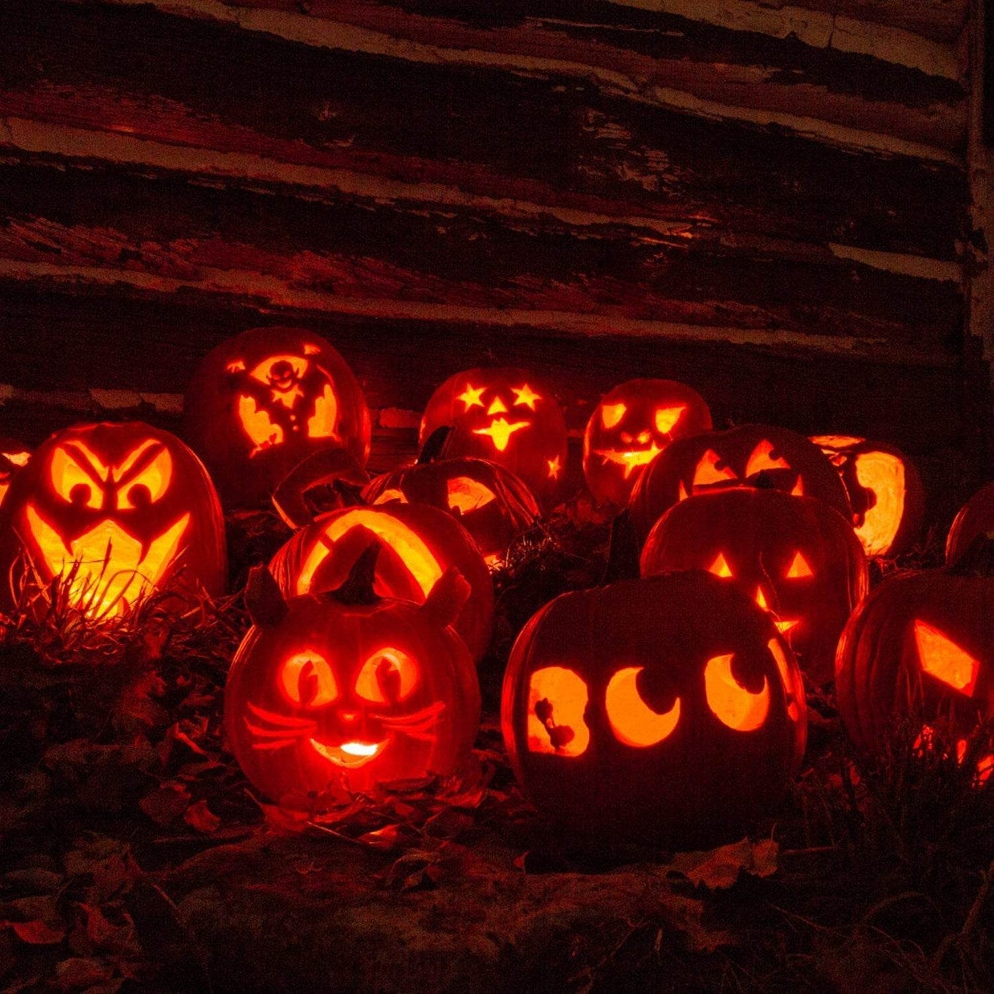 13Pcs Halloween Pumpkin Carving Kit Stainless Steel Carving Kit Pumpkin Sculpting Cutting Kit Halloween Decorative Tools - www.Shopthatapp.com #