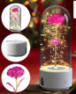 Creative 2 In 1 Rose Flowers LED Light And Bluetooth-compatible Speaker Valentine's Day Gift Rose Luminous Night Light Ornament In Glass Cover - www.Shopthatapp.com