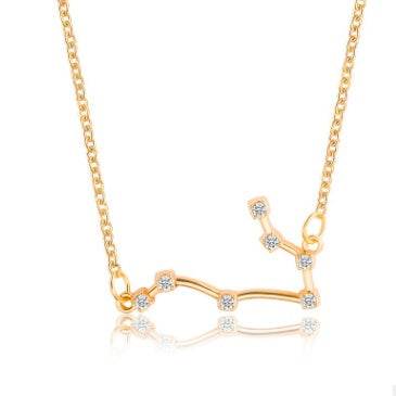 Zodiac Necklaces - www.Shopthatapp.com