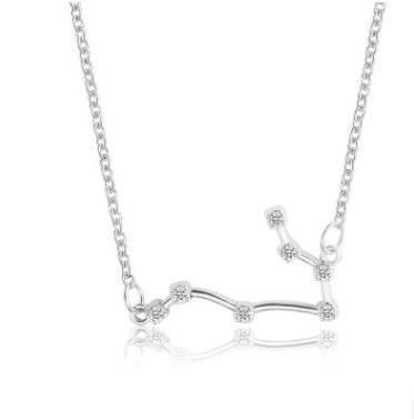Zodiac Necklaces - www.Shopthatapp.com